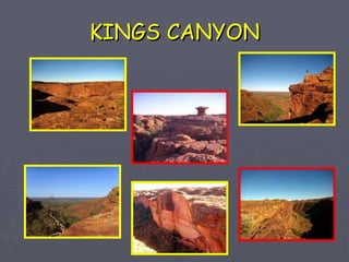 KINGS CANYON 