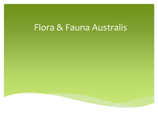 Flora & Fauna Australis 
 