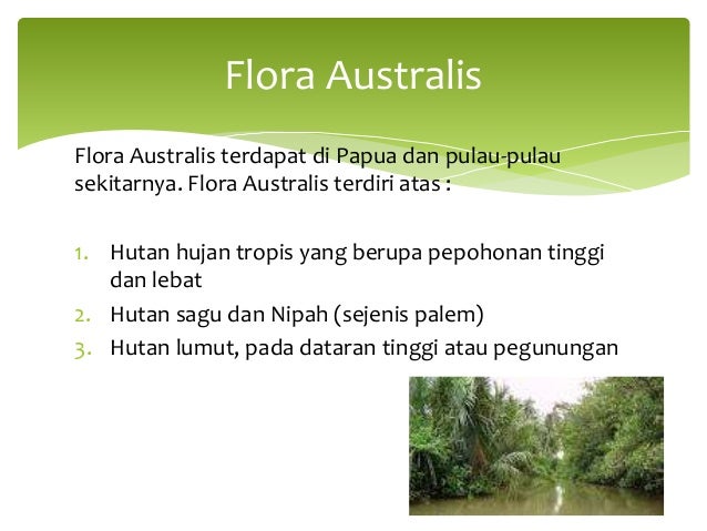 Ciri Flora Dan Fauna Australis