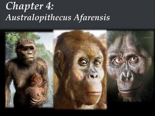 Australopithecines | PPTX