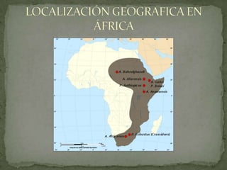 LOCALIZACIÓN GEOGRAFICA EN ÁFRICA