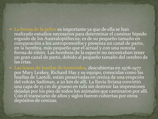 La forma de la pelvis es importante ya que de ella se han realizado estudios necesarios para determinar el caminar bípedo erguido de los Australopithecus; es de su pequeño tamaño en comparación a los antropomorfos y presenta un canal de parto, en la hembra, más pequeño que el actual y con una notoria forma de riñón. Las hembras de la especie no necesitaban tener un gran canal de parto, debido al pequeño tamaño del cerebro de las crías.Las líneas de huellas de homínidos, descubiertas en 1976-1977 por Mary Leakey, Richard Hay y su equipo, conocidas como las huellas de Laetoli, están preservadas en ceniza de una erupción del volcán Sadiman, a 20 km de allí. La lluvia liviana convirtió una capa de 15 cm de grueso en tufa sin destruir las impresiones dejadas por los pies de todos los animales que caminaron por allí. Con el transcurso de años y siglos fueron cubiertas por otros depósitos de cenizas.