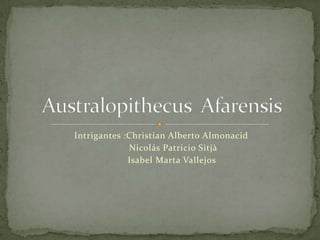 Australopithecus Afarensis