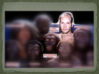 Australopithecus Afarensis