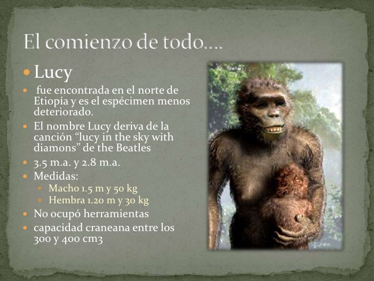 Resultado de imagen de De una hembra de Australopithecus afarensis