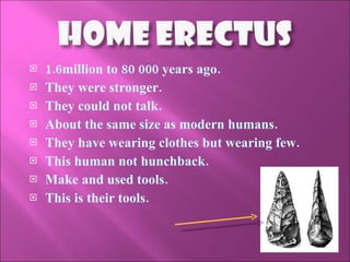 1.6million to 80 000 years ago. They were stronger. They could not talk. About the same size as modern humans. They have wearing clothes but wearing few. This human not hunchback. Make and used tools. This is their tools. 
