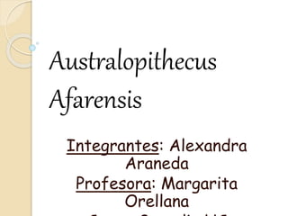 Australopithecus
Afarensis
Integrantes: Alexandra
Araneda
Profesora: Margarita
Orellana
 
