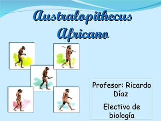 Australopithecus Africano Profesor: Ricardo Díaz  Electivo de biología 
