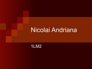 Nicolai Andriana 1LM2 