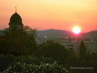 Wienerwald sunset
 