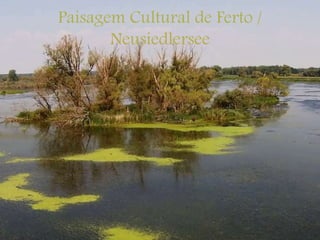 Paisagem Cultural de Ferto /
Neusiedlersee
 