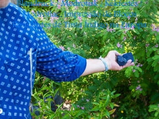 Blaudruck / Modrotisk / Kékfestés /
Modrotlac, Impressão de Blocos
Resistentes de Tinta Índigo na Europa
 