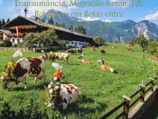 Transumância, Migração Sazonal de
Rebanhos em Rotas entre
Mediterrâneo e Alpes
 