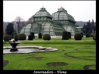 Invernadero - Viena
 