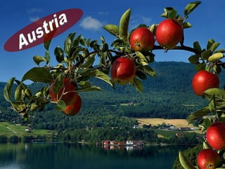 Austria elza
