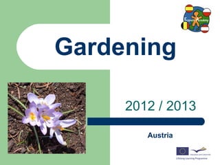 Gardening
2012 / 2013
Austria
 