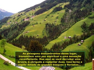 As paisagens deslumbrantes desse lugar, transmitem uma paz espiritual e uma sensação reconfortante. Mas aqui se você derrubar uma árvore, é obrigado a replantar duas. Isso torna a região dotada de grandes bosques e florestas...  