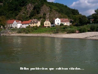 B
ellos pueblecitos que cultivan viñedos. . .

 