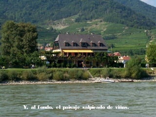 Y, al f ondo, el paisaje salpicado de viñas.

 