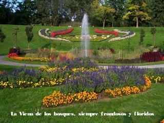 La Viena de los bosques, siempre f rondosos y f loridos.

 