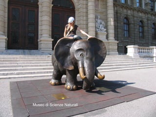 Museo di Scienze Naturali
 