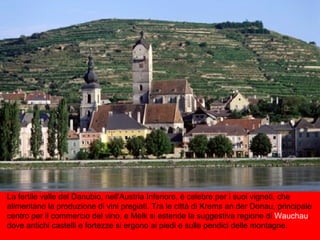 La fertile valle del Danubio, nell'Austria Inferiore, è celebre per i suoi vigneti, che
alimentano la produzione di vini pregiati. Tra le città di Krems an der Donau, principale
centro per il commercio del vino, e Melk si estende la suggestiva regione di Wauchau,
dove antichi castelli e fortezze si ergono ai piedi e sulle pendici delle montagne.
 