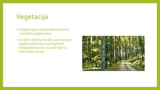 Vegetacija
• Vegetacija je raspoređena prema
visinskim pojasevima.
• U nižim dijelovima do 1000 metara
nadmorske visine su miješane
listopadne šume, a iznad njih su
četinarske šume.
 