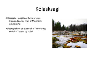 Menntun hans, kristins aðalsmanns byrjaði árið 1436 þegar faðir hans náði völdum aftur í Valakíu eftir að hafa rutt í burtu keppinauta sína, Dansesti ætt 