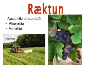 Í Austurríki er stunduð: Akuryrkja Vínyrkja Ræktun Akuryrkja Vínyrkja 