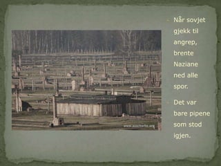 - Når sovjet 
gjekk til 
angrep, 
brente 
Naziane 
ned alle 
spor. 
- Det var 
bare pipene 
som stod 
igjen. 
