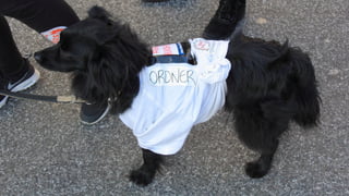 Ausziehen! Ausziehen!