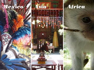 Mexico Asia Africa
Prepared with care for AUT Creative Entrepreneurship Paper | 22 August 2014
 