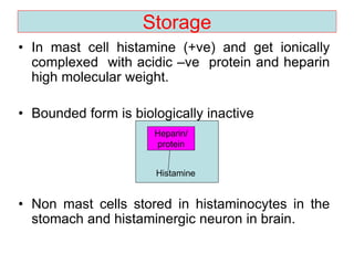 Storage
• In mast cell histamine (+ve) and get ionically
complexed with acidic –ve protein and heparin
high molecular weight.
• Bounded form is biologically inactive
• Non mast cells stored in histaminocytes in the
stomach and histaminergic neuron in brain.
Histamine
Heparin/
protein
 