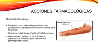 ACCIONES FARMACOLÓGICAS
Reacción triple de Lewis:
• Zona de rubor local en el lugar de inyección
(consecuencia del efecto vasodilatador directo de la
histamina)
• Hiperemia más intensa o ‘’eritema’’ reflejo axónico
• Una roncha o pápula–1 a 2 min (refleja la
capacidad de histamina para intensificarla
permeabilidad capilar).
 