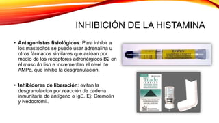 INHIBICIÓN DE LA HISTAMINA
• Antagonistas fisiológicos: Para inhibir a
los mastocitos se puede usar adrenalina u
otros fármacos similares que actúan por
medio de los receptores adrenérgicos B2 en
el musculo liso e incrementan el nivel de
AMPc, que inhibe la desgranulacion.
• Inhibidores de liberación: evitan la
desgranulacion por reacción de cadena
inmunitaria de antígeno e IgE. Ej: Cremolin
y Nedocromil.
 