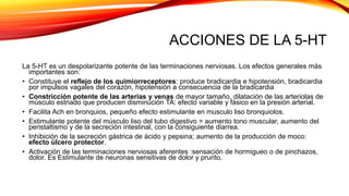 ACCIONES DE LA 5-HT
La 5-HT es un despolarizante potente de las terminaciones nerviosas. Los efectos generales más
importantes son:
• Constituye el reflejo de los quimiorreceptores: produce bradicardia e hipotensión, bradicardia
por impulsos vagales del corazón, hipotensión a consecuencia de la bradicardia
• Constricción potente de las arterias y venas de mayor tamaño, dilatación de las arteriolas de
músculo estriado que producen disminución TA: efecto variable y fásico en la presión arterial.
• Facilita Ach en bronquios, pequeño efecto estimulante en musculo liso bronquiolos.
• Estimulante potente del músculo liso del tubo digestivo = aumento tono muscular, aumento del
peristaltismo y de la secreción intestinal, con la consiguiente diarrea.
• Inhibición de la secreción gástrica de ácido y pepsina; aumento de la producción de moco:
efecto úlcero protector.
• Activación de las terminaciones nerviosas aferentes :sensación de hormigueo o de pinchazos,
dolor. Es Estimulante de neuronas sensitivas de dolor y prurito.
 