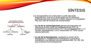 SÍNTESIS
Los eicosanoides son producidos a partir del acido
araquidónico, que es un acido graso de 20 carbonos
poliinsaturado que contiene 4 doble enlaces no conjugados.
Hay dos vías de síntesis de eicosanoides:
• La vía de la ciclooxigensasa genera eicosanoides de
estructura anular como las prostaglandinas (PG), la
prostaciclina o tromboxanos (TX). Las prostaglandinas 1 y 2
causan vasodilatación, y la 2 causa dolor. El TXA2 causa
vasoconstricción.
• La vía de la lipoxigenasa, mediante la acción de la
fosfolipasa A, metaboliza los fosfolípidos a nivel de la
membrana y se obtienen los leucotrienos (B4, C4, D4, E4)
que producen broncoespasmos.
 