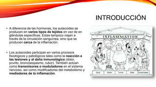 INTRODUCCIÓN
• A diferencia de las hormonas, los autacoides se
producen en varios tipos de tejidos en vez de en
glándulas especificas. Estas tampoco viajan a
través de la circulación sanguínea, sino que se
producen cerca de la inflamación.
• Los autacoides participan en varios procesos
fisiológicos y patológicos tales como la reacción a
las lesiones y al daño inmunológico (dolor,
prurito, broncoespasmo, rubor). También actúan
como transmisores o moduladores en el sistema
nervioso, así como modificadores del metabolismo y
mediadores de la inflamación.
 
