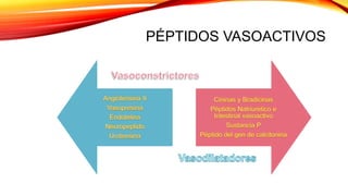 PÉPTIDOS VASOACTIVOS
 