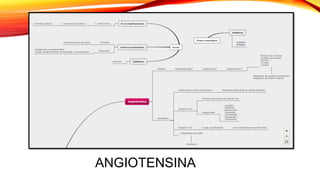 ANGIOTENSINA
 