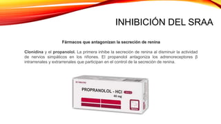 INHIBICIÓN DEL SRAA
Fármacos que antagonizan la secreción de renina
Clonidina y el propanolol. La primera inhibe la secreción de renina al disminuir la actividad
de nervios simpáticos en los riñones. El propanolol antagoniza los adrenoreceptores β
intrarrenales y extrarrenales que participan en el control de la secreción de renina.
 