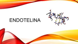 ENDOTELINA
 