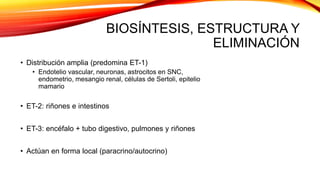 BIOSÍNTESIS, ESTRUCTURA Y
ELIMINACIÓN
• Distribución amplia (predomina ET-1)
• Endotelio vascular, neuronas, astrocitos en SNC,
endometrio, mesangio renal, células de Sertoli, epitelio
mamario
• ET-2: riñones e intestinos
• ET-3: encéfalo + tubo digestivo, pulmones y riñones
• Actúan en forma local (paracrino/autocrino)
 