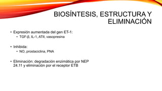 BIOSÍNTESIS, ESTRUCTURA Y
ELIMINACIÓN
• Expresión aumentada del gen ET-1:
• TGF-β, IL-1, ATII, vasopresina
• Inhibida:
• NO, prostaciclina, PNA
• Eliminación: degradación enzimática por NEP
24.11 y eliminación por el receptor ETB
 