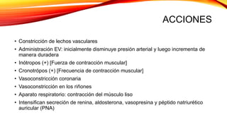 ACCIONES
• Constricción de lechos vasculares
• Administración EV: inicialmente disminuye presión arterial y luego incrementa de
manera duradera
• Inótropos (+) [Fuerza de contracción muscular]
• Cronotrópos (+) [Frecuencia de contracción muscular]
• Vasoconstricción coronaria
• Vasoconstricción en los riñones
• Aparato respiratorio: contracción del músculo liso
• Intensifican secreción de renina, aldosterona, vasopresina y péptido natriurético
auricular (PNA)
 