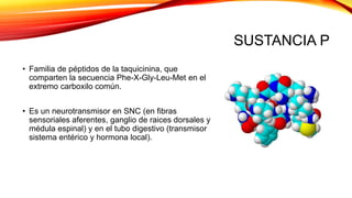 SUSTANCIA P
• Familia de péptidos de la taquicinina, que
comparten la secuencia Phe-X-Gly-Leu-Met en el
extremo carboxilo común.
• Es un neurotransmisor en SNC (en fibras
sensoriales aferentes, ganglio de raices dorsales y
médula espinal) y en el tubo digestivo (transmisor
sistema entérico y hormona local).
 