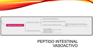 PEPTIDO INTESTINAL
VASOACTIVO
 