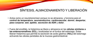 SÍNTESIS, ALMACENAMIENTO Y LIBERACIÓN
• Actúa como un neurotransmisor porque no se almacena, y funciona para el
control de temperatura, neuroendocrino, cardiovascular, dormir, despertar,
peso corporal, sed, apetito, secreción de ADH y dolor.
• Fuera del encéfalo, la histamina se libera y almacena en las células similares a
las enterocromafines (ECL), localizadas en el fundus del estomago. Estas
liberan histamina que permite la secreción de acido gástrico (HCL) del estomago
activando las células parietales de la mucosa gastrointestinal.
 