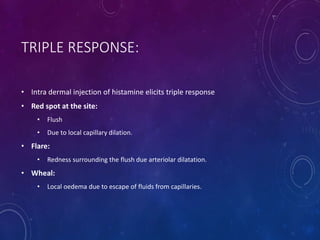 TRIPLE RESPONSE:
• Intra dermal injection of histamine elicits triple response
• Red spot at the site:
• Flush
• Due to local capillary dilation.
• Flare:
• Redness surrounding the flush due arteriolar dilatation.
• Wheal:
• Local oedema due to escape of fluids from capillaries.
 