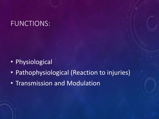 FUNCTIONS:
• Physiological
• Pathophysiological (Reaction to injuries)
• Transmission and Modulation
 